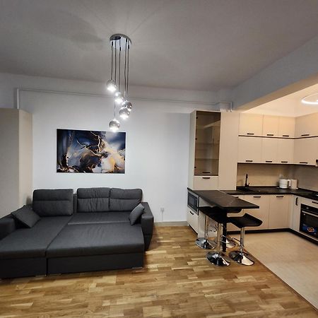 Near Airport 2 Rooms Apartments In Himson Iasi Luaran gambar